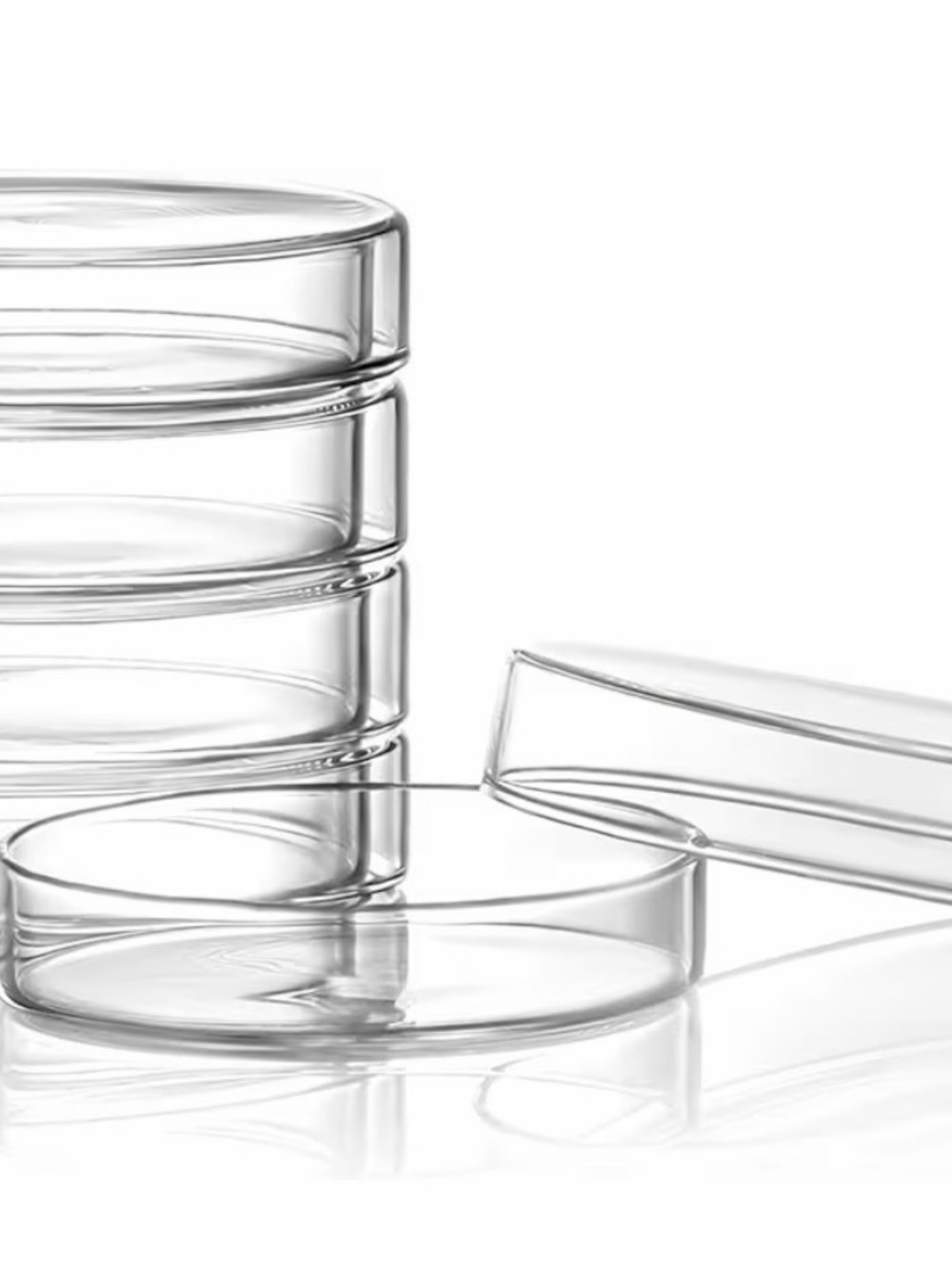 Glass Petri Dish